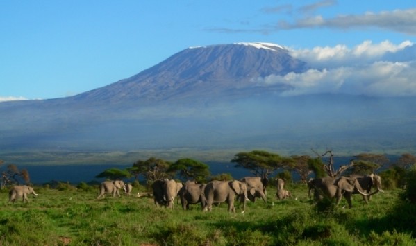 Amboseli-Safari-Kenya